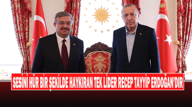 Milletvekili Yurdunuseven: “Cumhurbaşkanımız Mazlum Coğrafyanın Umudu Oldu”