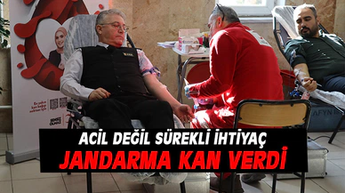Afyonkarahisar'da jandarma kan verdi