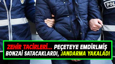 Afyonkarahisar’da peçeteye emdirilmiş bonzai yakalandı