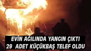 Köy evinin ağılında yangın çıktı