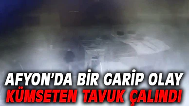 Afyonkarahisar’da kümesten tavuk çalındı