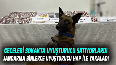 Zehir tacirlerini jandarma yakaladı