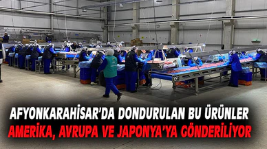 Müdür Parlak, donmuş gıda üretim merkezini gezdi