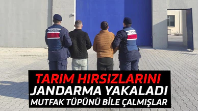 Afyon'da tarım hırsızlarını jandarma yakaladı