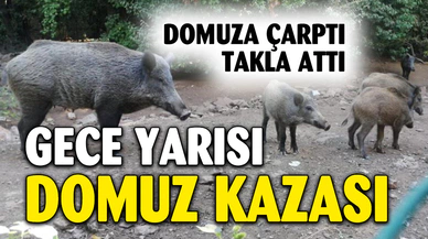 Gece Yarısı Domuz Kazası