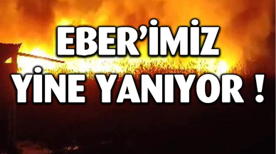Eber Gölü’nde sazlık alanda yangın çıktı, alevler metrelerce yükseldi