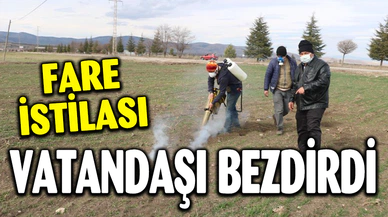 FARE İSTİLASI VATANDAŞI BEZDİRDİ