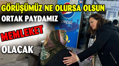 Köksal: Görüşümüz ne olursa olsun ortak paydamız memleket olacak