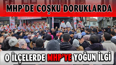 MHP'de miting havasında açılışlar 