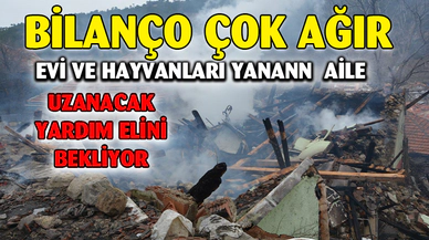 Yangında yaklaşık 800 bin TL’lik maddi kayıp meydana geldi