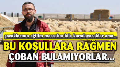 42 bin lira maaş, sigorta, dayalı döşeli ev ve karavana rağmen çoban bulunamıyor