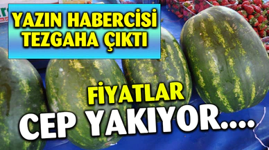 Karpuz pazar tezgahlarında yerini almaya başladı