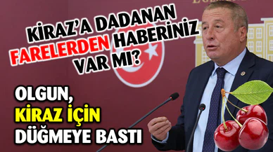 Olgun’dan Tarım ve Orman Bakanına soru önergesi