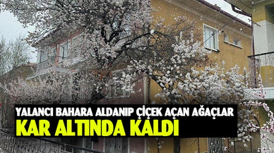 Bolvadin’de kar yağışı etkili oldu