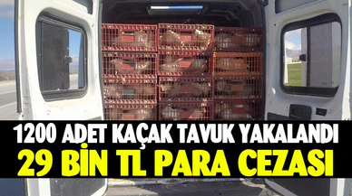 Afyonkarahisar’da kaçak tavuk taşıyan şahıs yakalandı