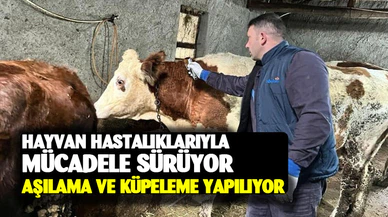 Afyonkarahisar’da hayvan hastalıklarıyla mücadele sürüyor