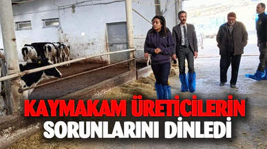 Kaymakam Kılıçtürk, üreticileri ziyaret etti