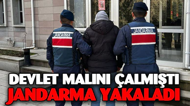 Hırsızlık suçundan 5 yıl hapis cezası ile aranan şahsı jandarma yakaladı