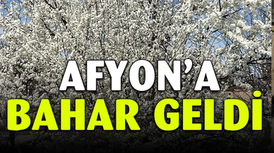 Afyonkarahisar’da ağaçlar baharın müjdecisi olarak rengarenk çiçek açtı