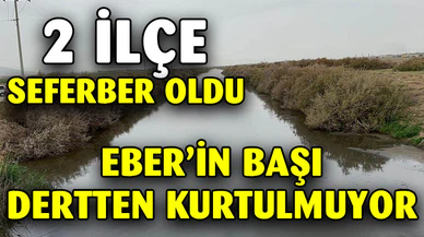 Eber Gölü’nün kurtarılması için bir araya geldiler