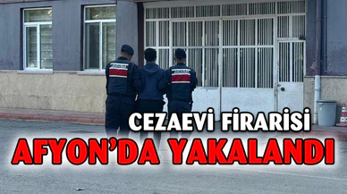 Hırsızlık yapıp cezaevinden firar eden şahsı jandarma yakaladı
