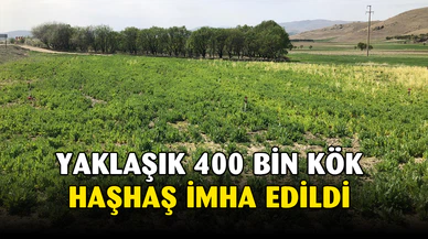 Afyonkarahisar’da izinsiz haşhaş ektiler