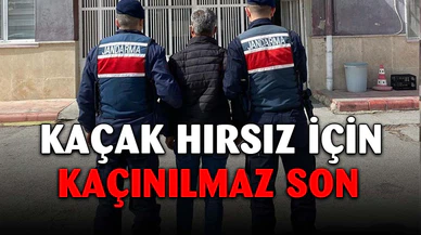 Hırsızlık suçundan aranıyordu, jandarmaya yakalandı