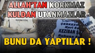 Vicdanları Yaralayan Görüntü "Pes Artık" Dedirtti