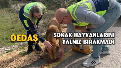 OEDAŞ Direktörü Muzaffer Yalçın: “Projeyi saha çalışanlarımız önerdi”