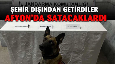 Şehir dışından getirdikleri uyuşturucuyu satamadan jandarmaya yakalandılar
