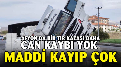 Kontrolden çıkan selüloz yüklü tır devrildi