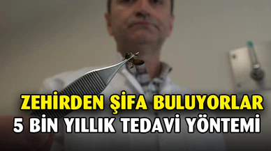 5 bin yıllık tedavi: Bu arılar şifa dağıtıyor