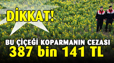 Bu çiçeği koparmanın cezası 387 bin 141 TL