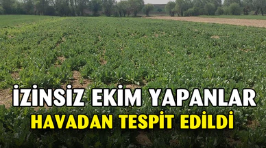 İzinsiz ekilen haşhaşı jandarma havadan tespit etti