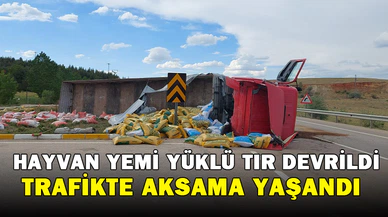 Kontrolden çıkan hayvan yemi yüklü tır devrildi