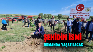 Şehit Gürpınar için hatıra ormanı
