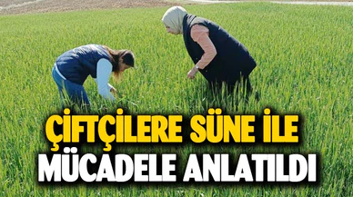Çiftçilere süne mücadele anlatıldı