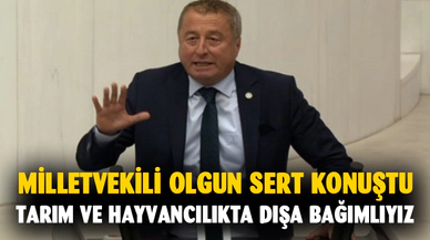 Milletvekili Olgun: Tarım ve Hayvancılıkta dışa bağımlıyız