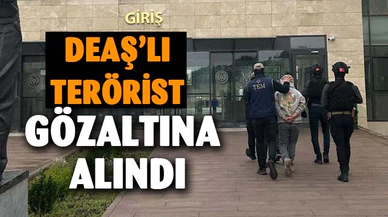 Jandarmadan DEAŞ'a yönelik operasyon