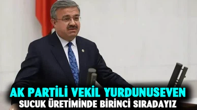 Milletvekili Yurdunuseven, TBMM’de Afyonkarahisar’ı tanıttı