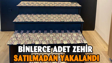 4 bin 259 adet uyuşturucu hapla yakalanan iki kişi tutuklandı