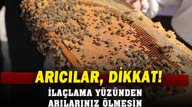 Bal üretimi yapan arıcılara önemli uyarı