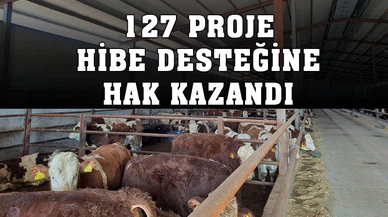 Kırsal Kalkınma Yatırımlarının Desteklenmesi Programının 15. Etap Sonuçları Açıklandı