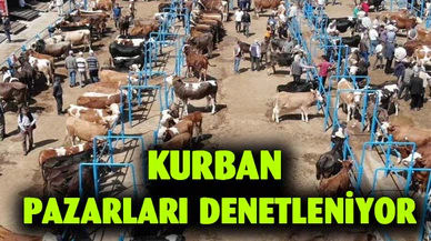 Afyonkarahisar'da kurban pazarları denetleniyor