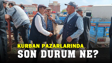 Afyonkarahisar’da küçükbaş kurbanlıklar müşterilerini bekliyor