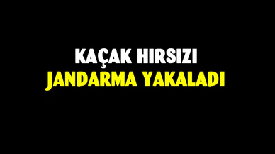 Afyonkarahisar'da kaçak hırsızı jandarma yakaladı