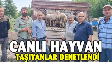 Afyonkarahisar'da canlı hayvan taşıyanlar denetlendi