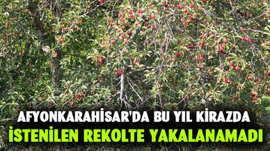 AFYONKARAHİSAR'DA BU YIL KİRAZDA İSTENİLEN REKOLTE YAKALANAMADI