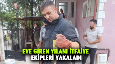 Eve giren yılanı itfaiye ekipleri yakaladı