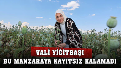 Vali Yiğitbaşı Bu Manzaraya Kayıtsız Kalamadı